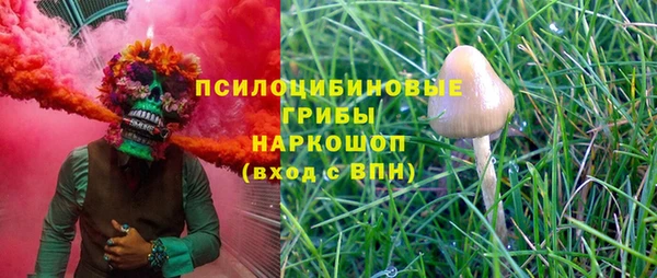 крисы Няндома