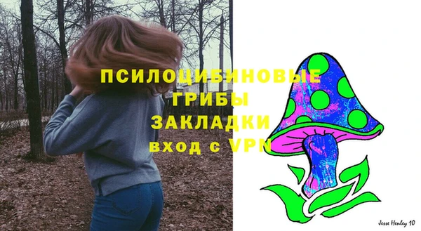 2c-b Алзамай